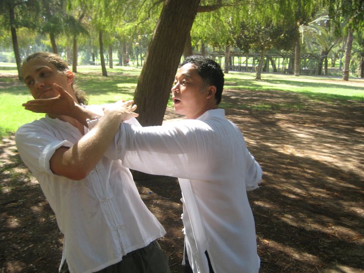 Zhou shifu, demonstrating an application on Tom, one of his Israeli students. HaYarkon Park, Tel-Aviv, Israel, August 2010.