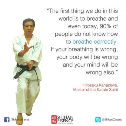 4530bf0bbe418e709ccea186839c15e9--surfing-martial-arts